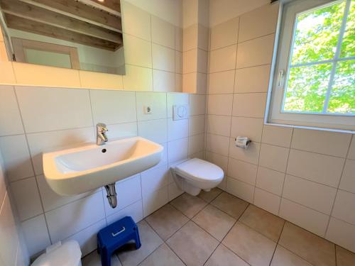 een badkamer met een wastafel en een toilet bij Strandpark Sierksdorf H056 in Sierksdorf
