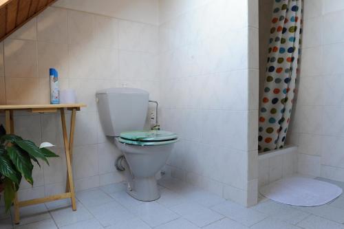 Ванная комната в Penzion Alpina Liberec
