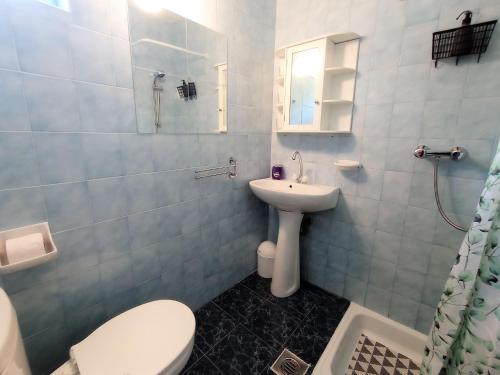 een badkamer met een toilet en een wastafel bij Nosztalgia Apartman Balatonkenese in Balatonkenese