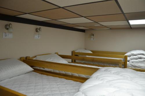 Ένα ή περισσότερα κρεβάτια σε δωμάτιο στο Hostel VShokoladi