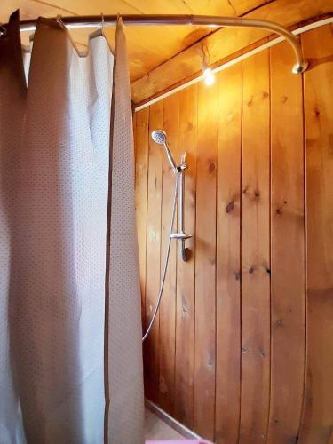 a shower in a room with a wooden wall at Hotel Arkhoti in Akhieli