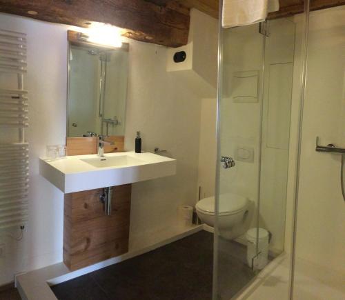a bathroom with a sink and a shower and a toilet at Haus in der Zitronengasse in Lindau