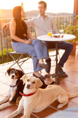 a man and a woman sitting at a table with a dog at CASA RURAL Cigarral del Pintor in Toledo