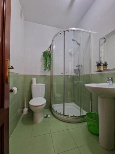 y baño con ducha, aseo y lavamanos. en Apartamento La vida, en Málaga