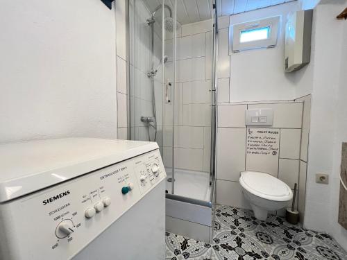 a small bathroom with a toilet and a sink at Apartment Entenbrücke in Wendlingen am Neckar