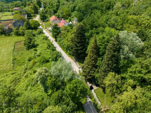 an aerial view of a road in a forest at Holiday House Zrmanja Vrelo in Zrmanja Vrelo