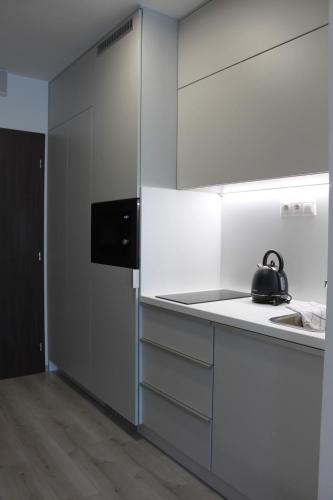 Η κουζίνα ή μικρή κουζίνα στο Apartman Kyjev 2