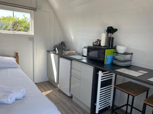 a small kitchen with a counter top with a microwave at Cosy Glamping Pod with shared facilities, Nr Kingsbridge and Salcombe in Kingsbridge
