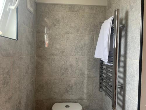 a bathroom with a shower with a toilet in it at Auntie Bett's - Cosy double ensuite room with mini kitchen in Kingsbridge