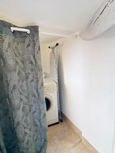 La salle de bains est pourvue d'un lave-linge et d'un rideau de douche. dans l'établissement Calme - Center - WiFi - Clim - Verdon 300m - Parking, à Vinon-sur-Verdon