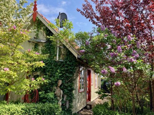 ein mit Pflanzen und Blumen bedecktes Haus in der Unterkunft Kleines Haus am Hafen - ruhig und grün am Ortsrand in Prerow
