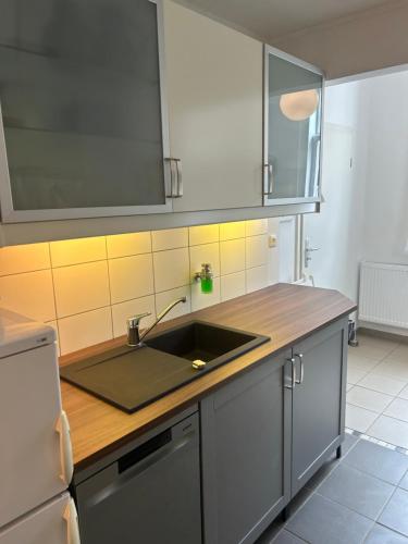 a kitchen with a sink and a counter top at Alte Küsterei Hohen Mistorf in Hohen Mistorf