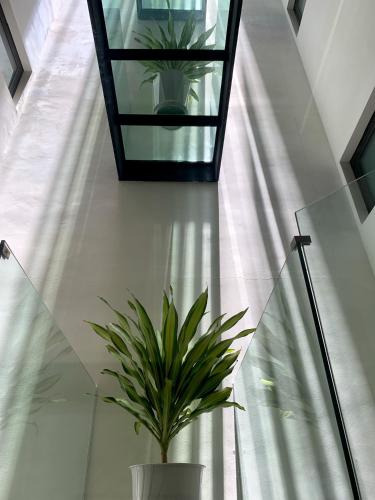 Fotografie z fotogalerie ubytování J'ADORE APARTMENT v Hanoji