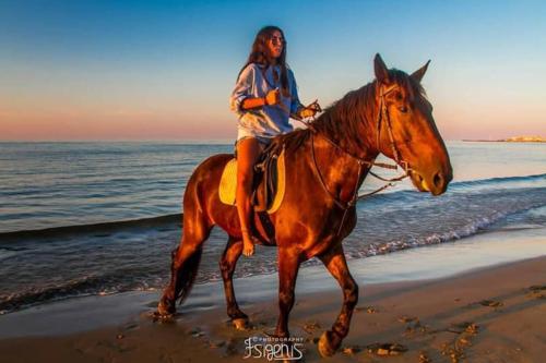 Eine Frau, die am Strand reitet in der Unterkunft Doxa's place in Iraklio
