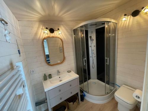 a bathroom with a sink and a shower and a toilet at Maison MAHECO in Gujan-Mestras