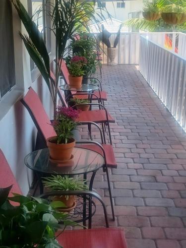 Balkoni atau teres di The Big Coconut Guesthouse - Gay Men's Resort