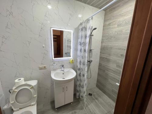 a bathroom with a toilet and a sink and a mirror at One bedroom Apartment in the centre of Yerevan, Amiryan Street 5a in Yerevan
