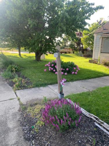un jardín con flores púrpuras en un patio en Cherry717, en Fairborn
