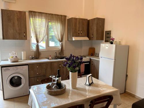 Η κουζίνα ή μικρή κουζίνα στο Irene’s house