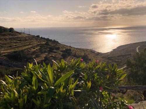 a view of the ocean from a hill with plants at La Vista TINOS in Agios Ioannis Tinos
