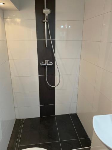 a bathroom with a shower with a toilet and a sink at Ferienwohnung in Kuppenheim für 1 bis 2 Personen in Kuppenheim