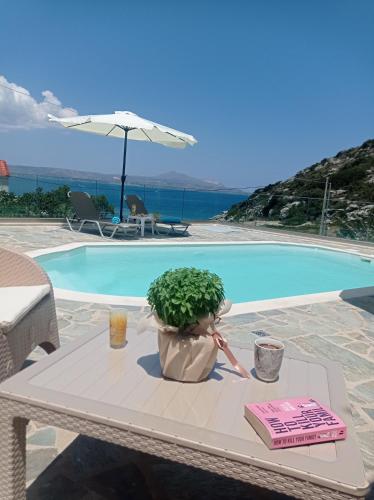 a table with a plant on it next to a pool at Domina Villas in Almyrida