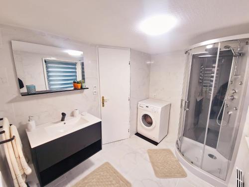 a bathroom with a sink and a washing machine at La casa de rosita, proche d'Europa-park et Rulantica in Benfeld