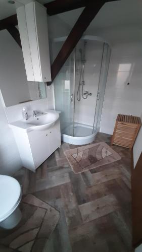 a bathroom with a shower and a sink and a toilet at Apartament Pod Dębem in Żarnowska
