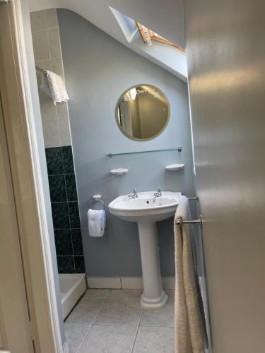 La salle de bains est pourvue d'un lavabo et d'un miroir. dans l'établissement Riverside Lodge, à Carlow