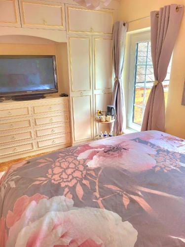 a bedroom with a bed and a tv on a dresser at Canalside B and B in Yelvertoft