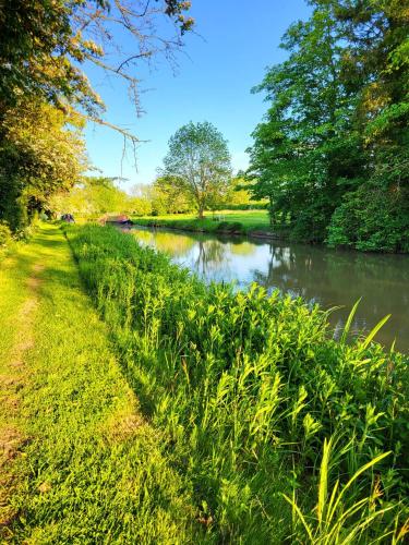 a river with trees and grass next to a field at Canalside B and B in Yelvertoft