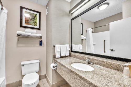 bagno con lavandino, servizi igienici e specchio di Fairfield Inn by Marriott Lumberton a Lumberton