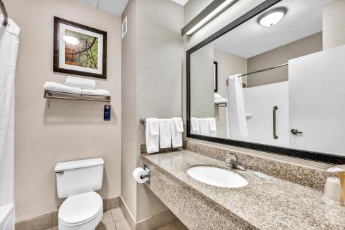 a bathroom with a sink and a toilet and a mirror at Fairfield Inn by Marriott Lumberton in Lumberton