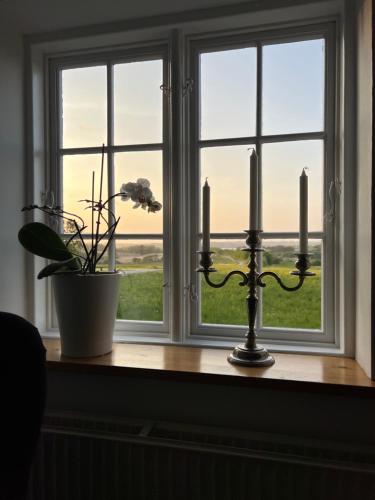 a window with three candles and a plant on a table at Tåning Gl. Mejeri in Skanderborg