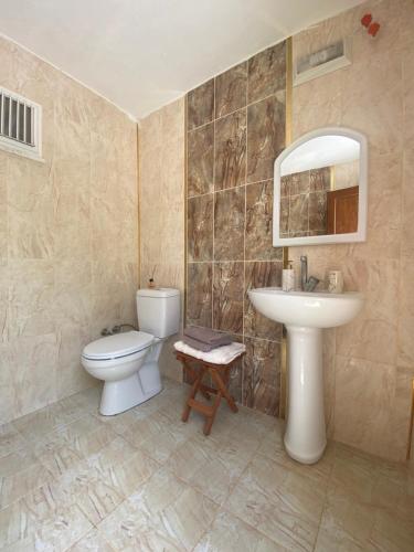 ein Bad mit einem WC und einem Waschbecken in der Unterkunft Tyana Garden Cappadocia in Bor