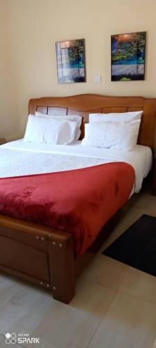 Stream Box Lodge في ليلونغوي: غرفة نوم بسرير وبطانية حمراء