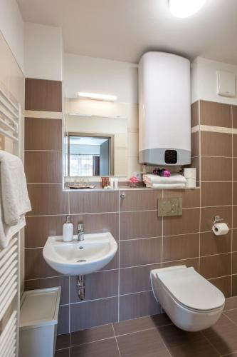 a bathroom with a sink and a toilet at Elendris - Ubytování u kostela in Brno