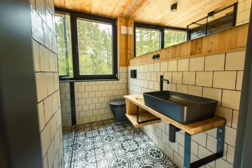 a bathroom with a sink and a toilet at Baumhausapartment in Breuberg