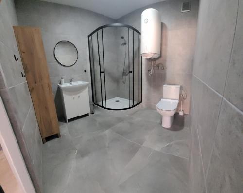 Koupelna v ubytování Apartamenty Drewniaki