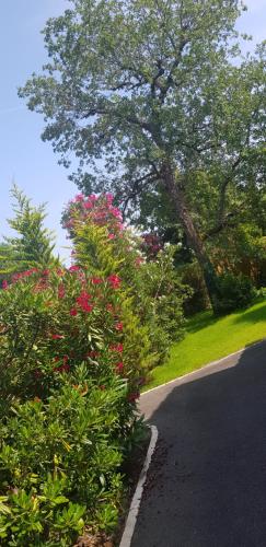 Photo de la galerie de l'établissement Villa intimiste, confortable, bassin d'Arcachon, à Arès