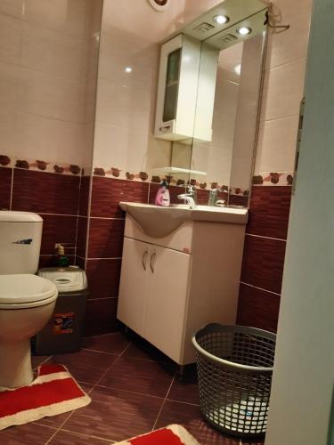 łazienka z toaletą, umywalką i lustrem w obiekcie Ana Apartment w Ochrydzie
