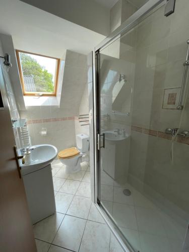 a bathroom with a shower and a sink and a toilet at Apartamenty Ogrodowa in Jastarnia