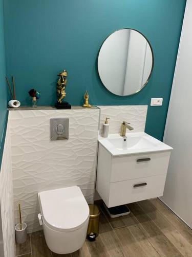 ein Badezimmer mit einem weißen WC und einem Spiegel in der Unterkunft Jolie appartement en plein centre du village in Les Arcs sur Argens