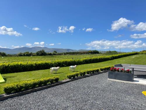 Gallery image of Country View House in Milltown
