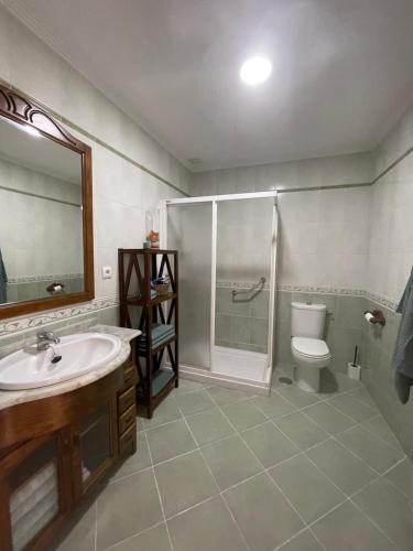 Casa cesar في San Salvador de Poio: حمام مع دش ومغسلة ومرحاض