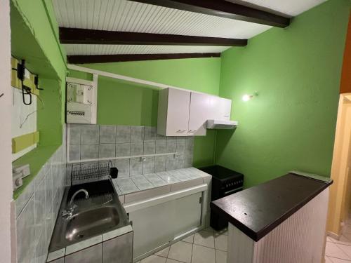 a small kitchen with green walls and a sink at Paradis le Clodyo in Sainte-Rose