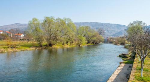 Φωτογραφία από το άλμπουμ του Villa Celleste στο Μόσταρ