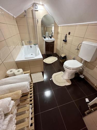 un bagno con un water, un lavandino e una vasca di Casa Ella Maldaresti a Măldăreşti