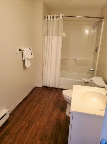 a bathroom with a toilet and a sink and a shower at Windrifter Resort in Wolfeboro