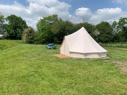 a white tent in a field with a picnic table at Bluebell Wilds in Whitchurch